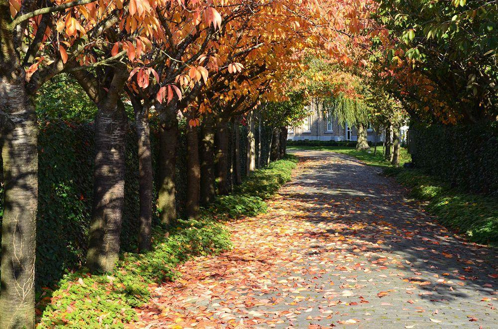 B&B Ter Brugge Stalhille ภายนอก รูปภาพ
